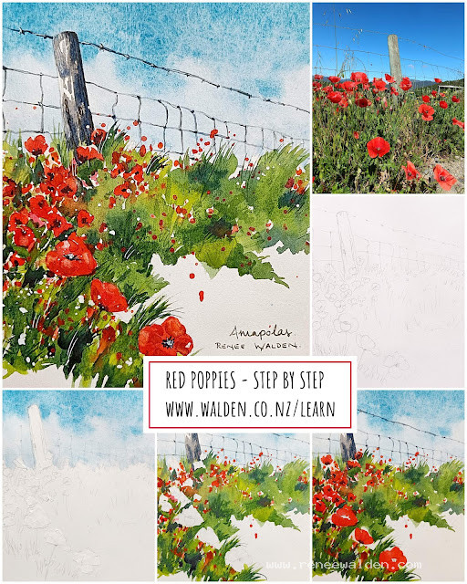 Painting poppies in watercolour - step by step tutorial