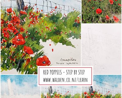 red poppies in watercolour