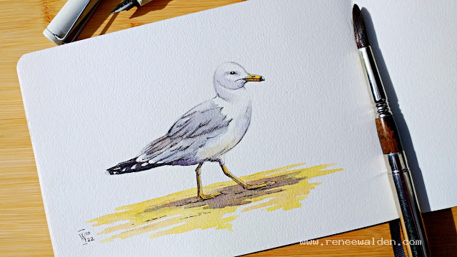 Paint a seagull in pen and watercolour