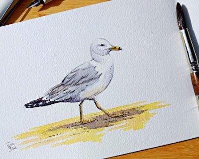 let's sketch a seagull