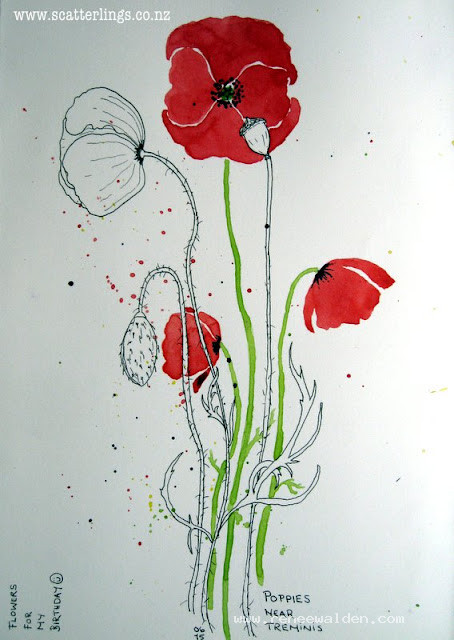 Pen and watercolour sketch of red poppies, France