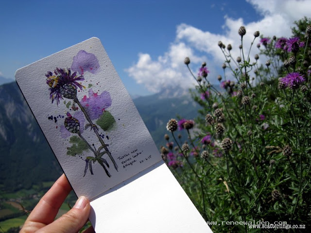 Sketch in pen and ink in Moleskine pocket watercolor book of thistles, France