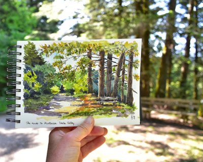 taking my sketchbook for a walk