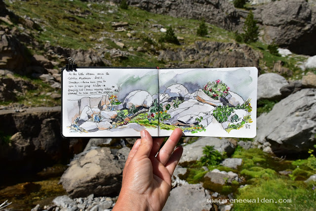 Tiny alpine stream, Montinier, Spanish Pyrenees