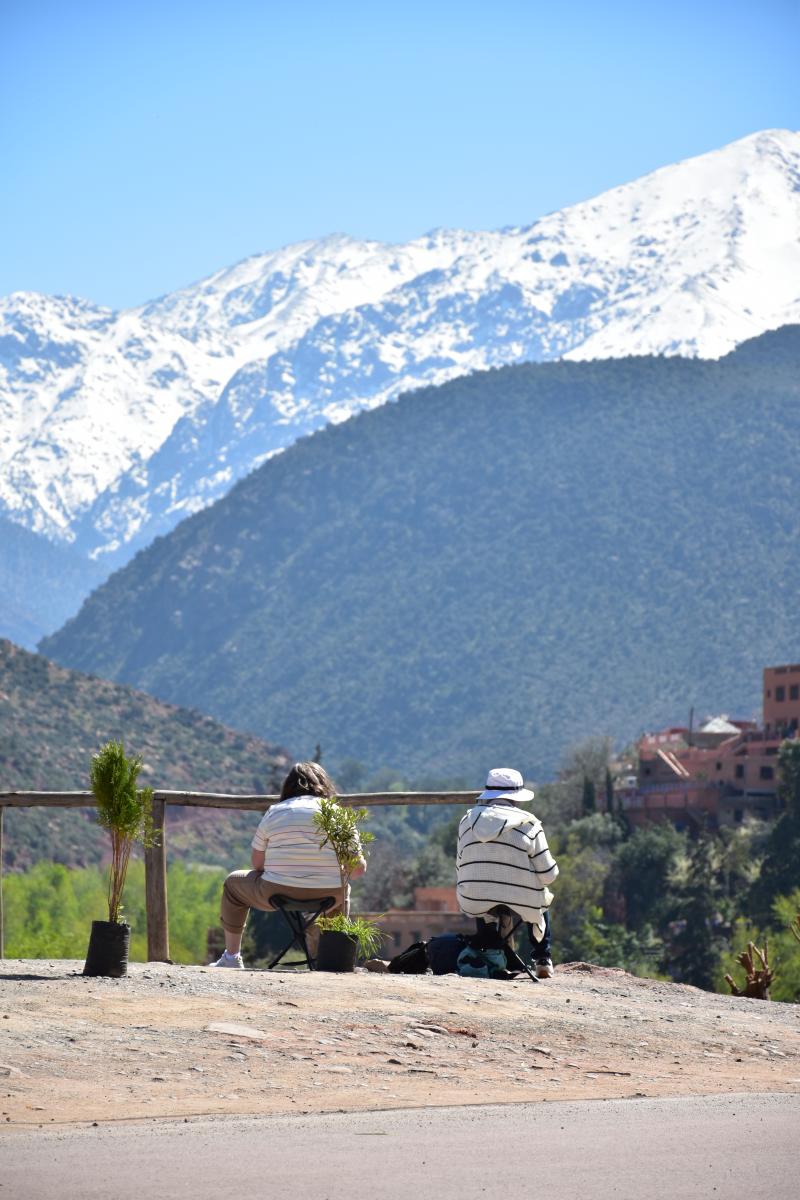 Snow-capped hills and spring greens