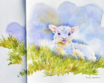 A lamb