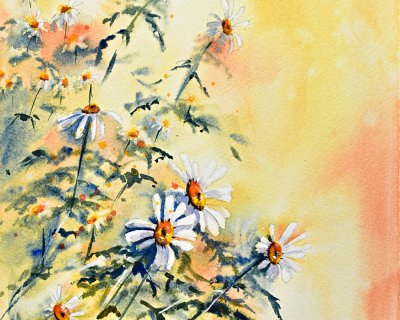 My neighbour's daisies (part 2)