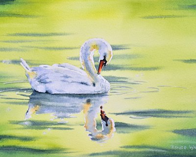 A swan