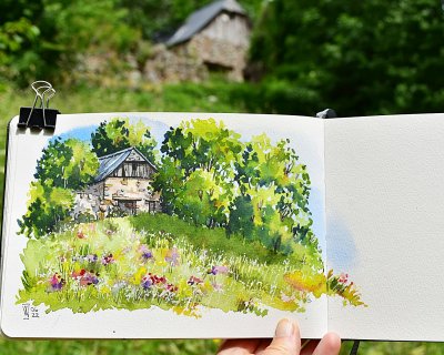 A barn in a meadow of summer wildflowers