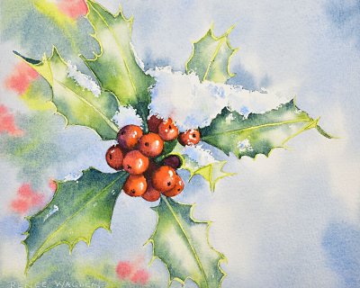 Holly in the snow