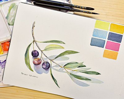 An olive branch