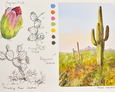 Desert cactus