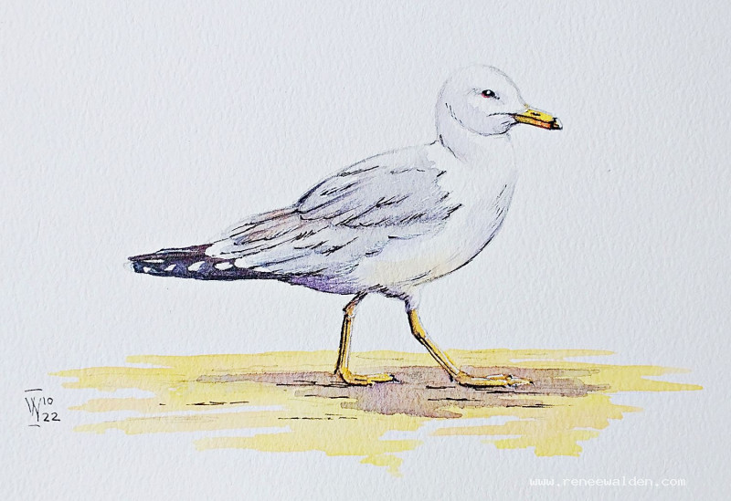 Finished painting