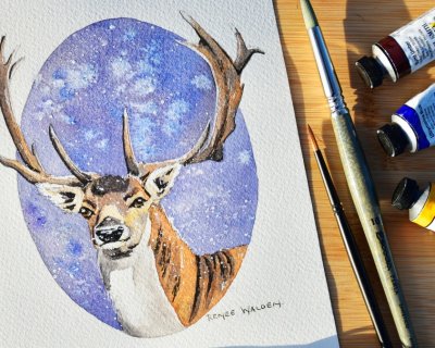 Deer in the snow