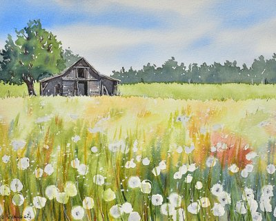 A barn in a field of dandelions