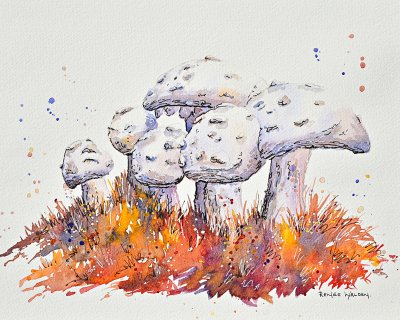 White mushrooms