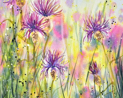 Summer wildflowers