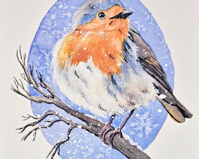 A robin in the snow