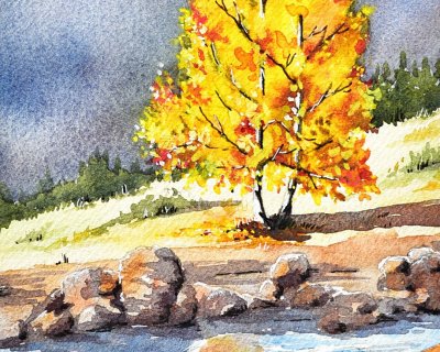 Autumn birches