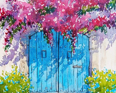Bougainvillea