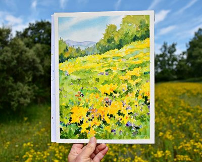 Summer meadow