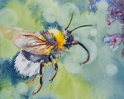 Bumblebee