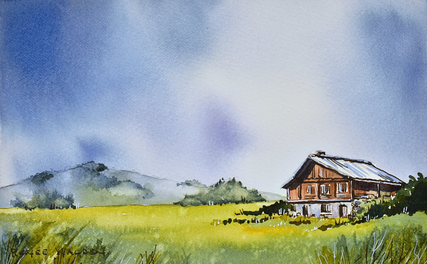 Summer storm