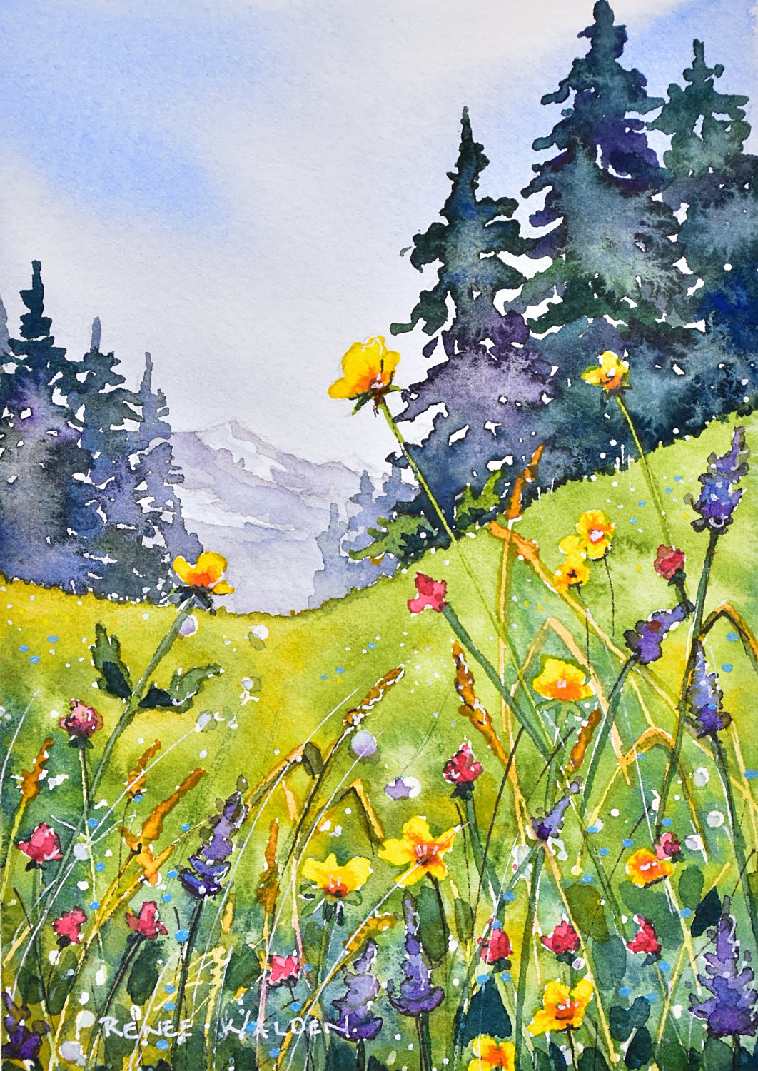 Alpine meadow
