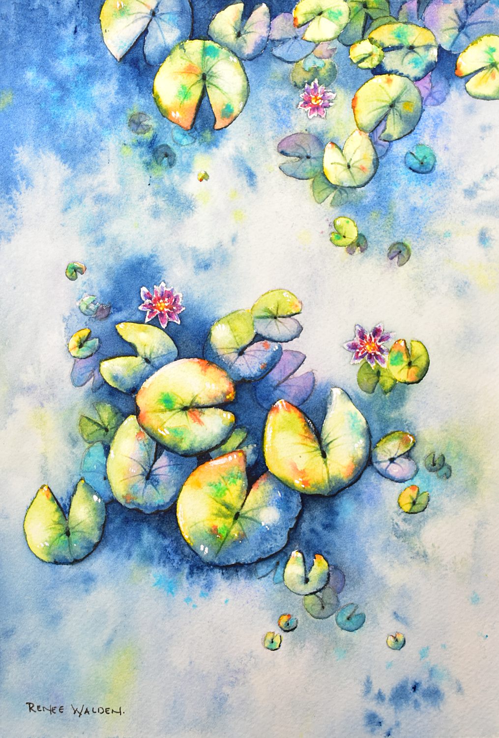 Waterlily Pond No.2